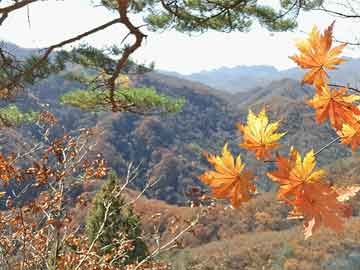 阿尔法巴（阿尔法巴赫）